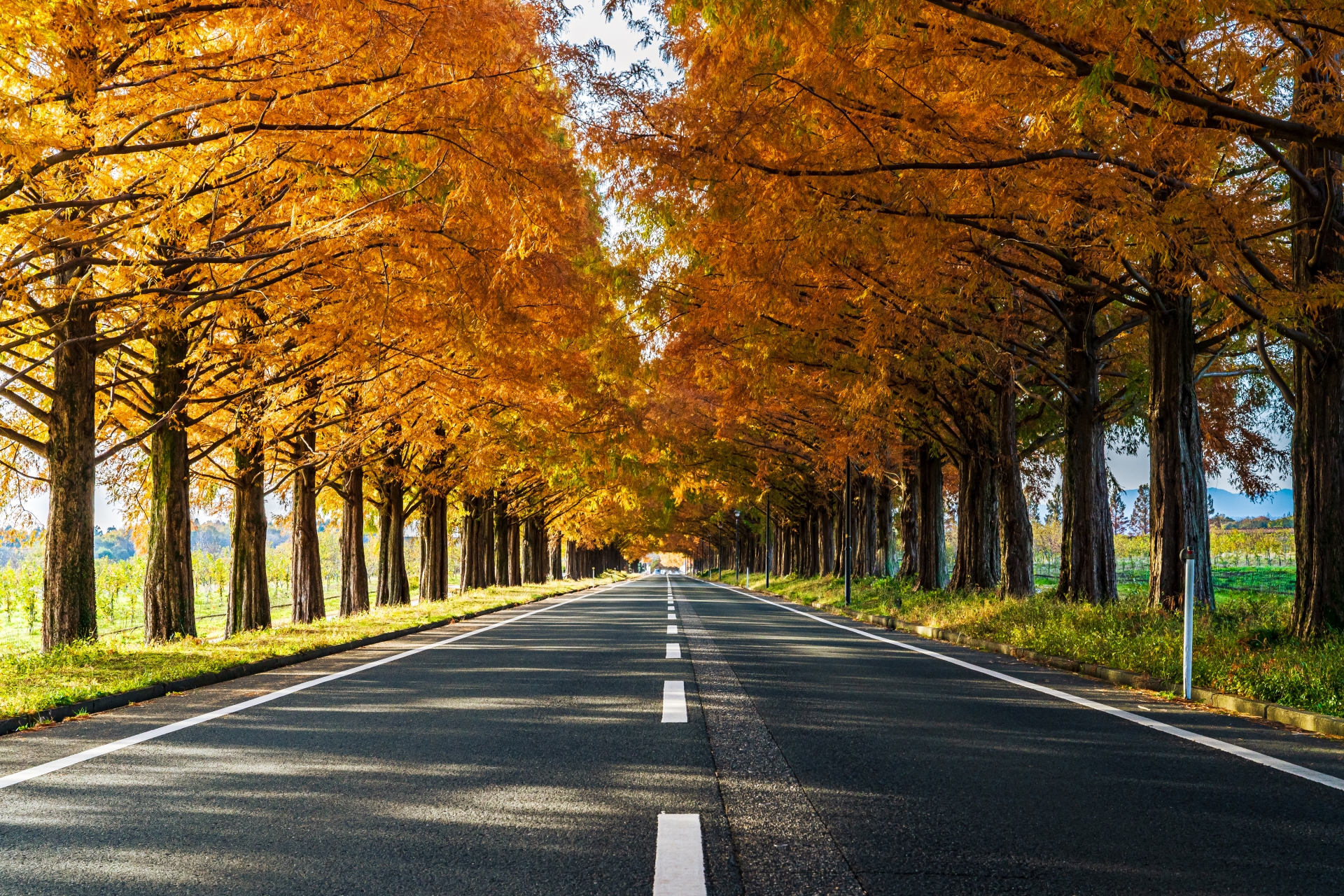 ＜色のいろいろ話２＞秋冬を楽しむ　あったかい明かりのおうちにしよう