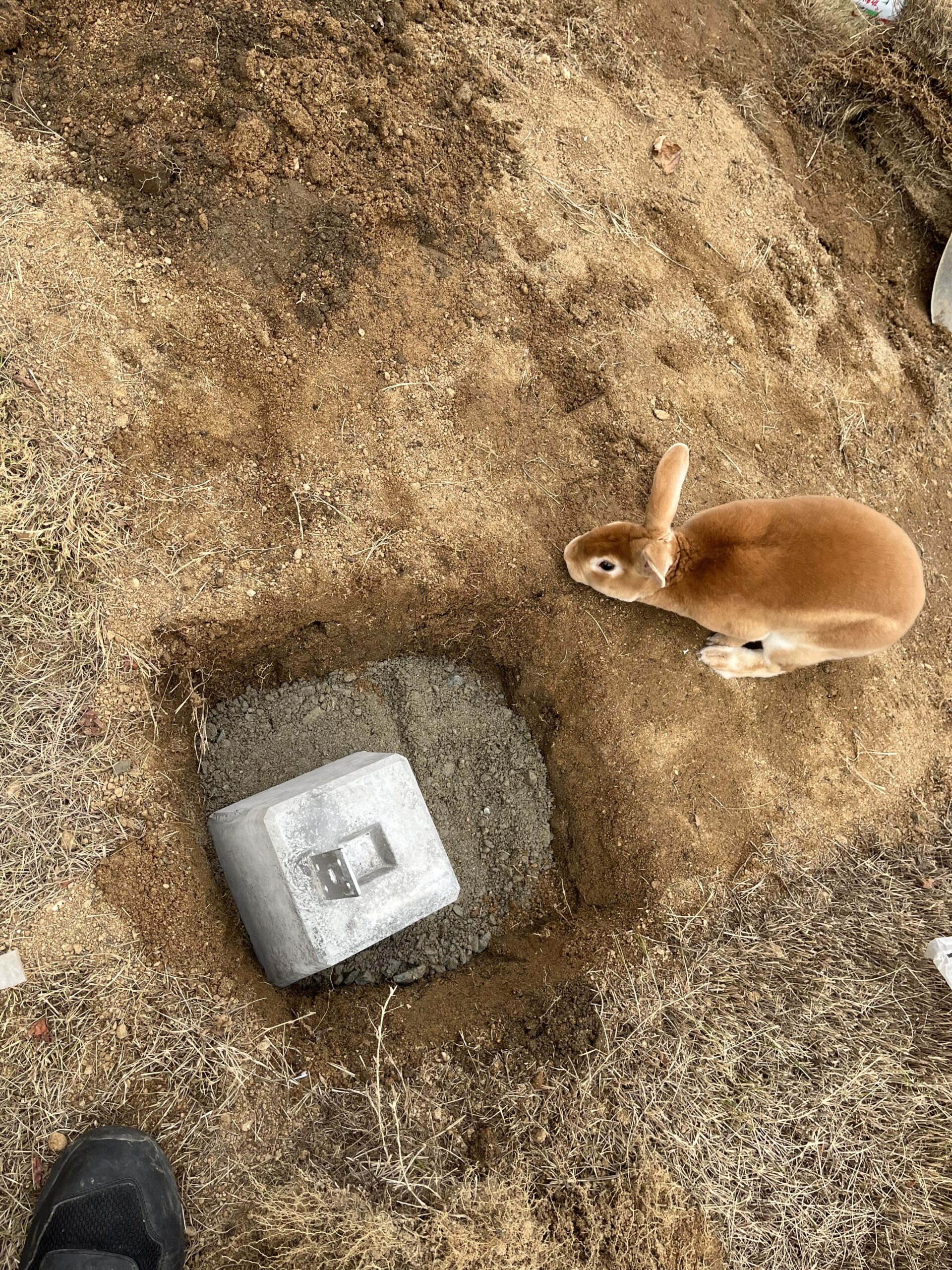 はしもと家　DIY小屋づくり①　準備・整地編