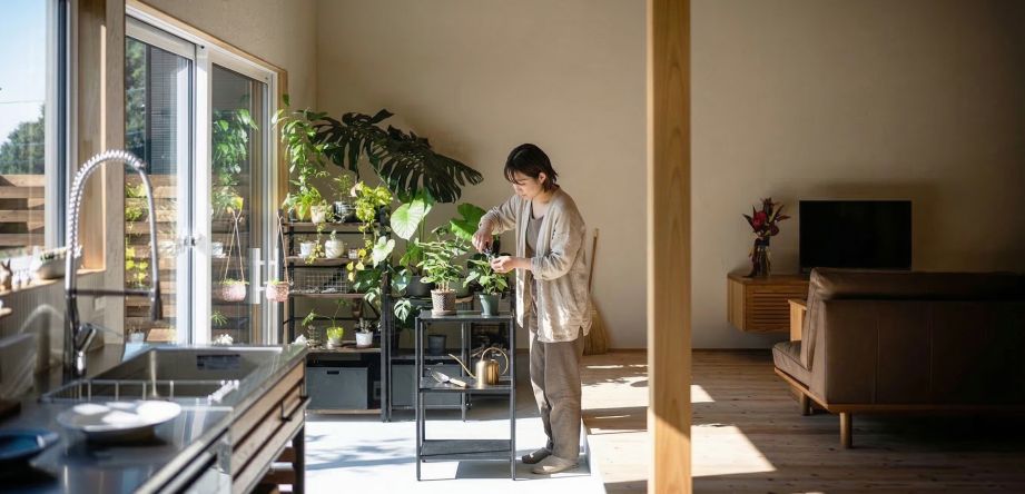 愛媛で建築家に依頼して理想の家を建てる手順と失敗しない選び方
