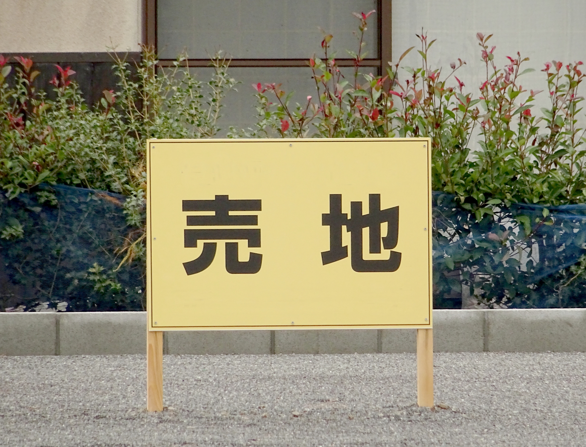 第4回：ネット未公開の情報も！現役ママ営業が伝える「完成前相談会」のトリセツ